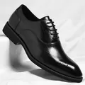 Elegante schwarze Oxford-Schuhe für Herren mit klassischen Brogue-Details - 37 / Schwarz