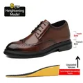 Zapatos Brogue de cuero marrón para hombre con aumento de 8 cm - 37 / Estilo Tallado Brogue de Aumento de Altura (X26-8) / 8cm Aumento de Altura / Marrón
