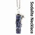 Blue Sodalite stone cylinder pendant necklace with silver frog detail - Necklace Set / Blue Sodalite