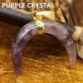 Natural purple amethyst horn-shaped pendant with polished gold bail jewelry accessory - Amethyst (aljylp00150) / 1 Piece/Pack
