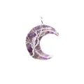 Collier pendentif lune en résine d'améthyste naturelle avec fil d'argent torsadé - Argent / Améthyste