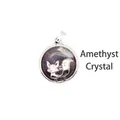 Elegant silver-toned circular pendant necklace featuring amethyst stone and fox charm - Amethyst (aljylp1244)