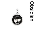 Polished black obsidian fox pendant necklace with a detailed silver-tone metal fox motif - Obsidian (aljylp1244)