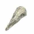 Close-up detail of natural white moonstone bird skull carving decoration - Pyrite