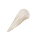 Detailed macro of carved white moonstone crystal bird skull with iridescent surface - White Moonstone