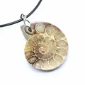 Macro detail of a natural spiral ammonite fossil pendant on a minimalist black cord. - Ammonite Fossil Necklace