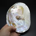 Macro view of natural iridescent pearl shell tray with polished silver metallic rim - Silver