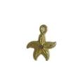 18K gold plated stainless steel starfish pendant charm for DIY jewelry craft making - Starfish Style (HY-885) / Gold