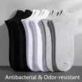 Comfortable men's low-cut cotton invisible boat socks in black white and grey color combo - Quarter / Multicolor