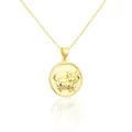 Close-up of gold-plated stainless steel pig zodiac pendant necklace with reflection - Pig