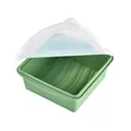 Green food-grade silicone lunch box with transparent lid for microwave oven safe heating - Single Compartment / Green
