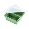 Green 2-compartment silicone lunch box with airtight lid and measurement markings - 2 Compartments / Green