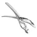 304 stainless steel chestnut opener and nutcracker tool with ergonomic handle design. - Nutcracker