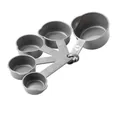 Professional grey plastic measuring cup set with molded capacity scales for baking needs - Measuring Cup Set with Pour Spout / Five-Piece Set / Gray