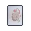 Tagliere a doppia faccia in acciaio inossidabile 304 con motivi - Motivo Bistecca (CB4318) / 1 Pezzo