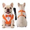 Elegantes orangefarbenes Hunde-Tuxedo-Geschirr und Leinenset für festliche Anlässe - S / Set (Harness + Leash) / Orangerot