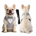 Elegantes graues Hunde-Smoking-Geschirr und Leinen-Set für formelle Anlässe und Hochzeiten - S / Set (Harness + Leash) / Grau
