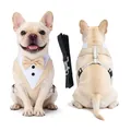Formales Hunde-Smoking-Geschirr und Leinen-Set für Hunde im beigen Hochzeitsanzug-Stil - S / Set (Harness + Leash) / Aprikose