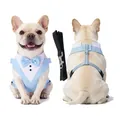 Formelles hellblaues Smoking-Hundegeschirr mit Leine für kleine und große Hunde - S / Set (Harness + Leash) / Hellblau