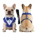 Elegantes blaues Hunde-Smoking-Geschirr mit Fliege und passender Leine für formelle Anlässe - S / Set (Harness + Leash) / Dunkelblau