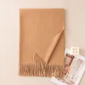Elegant camel-colored solid scarf with fringe tassels for cozy autumn and winter style - With Tag / Camel (FH26-6127-2)