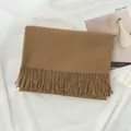 Cozy minimalist brown winter scarf with elegant tassels designed for unisex wear - With Logo / 200*68CM / Khaki