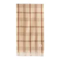Premium soft beige and brown classic plaid winter scarf with elegant tassel details - With Label (FH25-6001-10) / 50x200cm / Beige Plaid