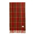 Elegant classic red and brown plaid scarf for women with soft tassels for winter warmth - Brick Red Check