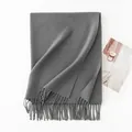 Elegant dark grey solid color winter scarf with stylish tassel fringe for warm outdoor wear - 200*68cm (Without Label) / Lava Smoke