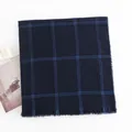 Men's stylish warm scarf featuring a classic navy blue and light blue grid pattern - Blue Plaid (FH23-5334-2) / 180*70cm