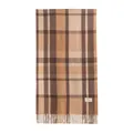 Warm brown and beige plaid faux cashmere scarf with stylish tassel hem detail - With Label (FH25-6001-4) / 50x200cm / Camel Plaid