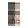 High-quality soft faux cashmere plaid scarf in gray and beige with elegant fringe details. - Grey Check Style (FH25-6001-2) / With Logo / Grey Plaid