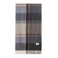 Classic blue and gray plaid scarf with fringe and 'Day April' woven label detail - Grey Blue Check Style (FH25-6001-3) / With Logo / Grey Blue Plaid