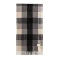 Soft imitation cashmere plaid scarf in black, grey, and cream with fringe detail - Black Grey White Check Style (FH25-6001-7) / With Logo / Black Grey White Plaid
