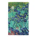 Long mulberry silk scarf featuring Van Gogh's Irises oil painting print for women - Van Gogh Irises (FHZ24-9131-1) / 50x166cm