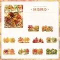 Autumn dyed maple forest waterproof PET stickers for journaling and scrapbooking - Pack of 20 / Autumn Maple Path