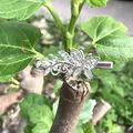 Elegant silver butterfly hair clip adorned with sparkling rhinestones for women - Butterfly Flower Style / Silver