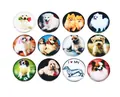 Set of 12 Noosa snap buttons 18mm featuring various cute dog breed photography patterns - 18mm / Set of 12 / Mixed Dogs