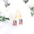 Elegant American flag enamel hook earrings for Independence Day celebration style - Flag Shape