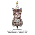 Realistic tabby kitten foil balloon wearing a polka-dot birthday party hat - Cat with Birthday Hat