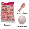100-pack of 10-inch macaron pink latex balloons shown in inflated and uninflated states. - 100 Pieces Pack / Macaron Pink