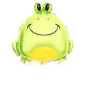 Large green frog aluminum foil balloon for insect themed birthday party decorations - Frog (DW014) / 63*62cm
