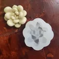 Detailed view of a succulent rose silicone mold and a finished wax specimen on wood. - Style 4 (55g)