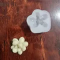 Detailansicht der Sukkulenten-Silikonform und der fertigen floralen Wachskreation - Stil 5 (25g)