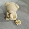 Macro view of 3D bear and rose flower silicone molds for chocolate candle making - Confession Bear