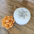 Detail view of white silicone mold and succulent flower shaped orange wax finished product - Succulent Cluster Style (2#) / 2#