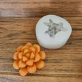 Detailed view of white succulent flower silicone mold and finished orange plaster piece - Succulent Cluster Style (1#) / Style 1