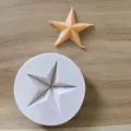 Close-up view of white star-shaped silicone mold with a finished star wax melt specimen - Single Star / White