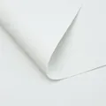Gros plan sur du papier mousse blanc pour emballage créatif de bouquets de fleurs - Lot de 5 / Blanc Princesse