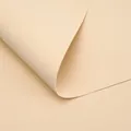 Papier d'emballage floral en coton perlé beige doux pour bouquets créatifs DIY - Lot de 5 / Toffee Chaud
